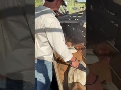 पीटी290 एलएफ मवेशी कान टैग रीडर आरएफआईडी स्टिक रीडर