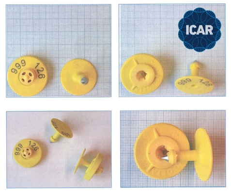 ISO11784/5 अनशेयर्ड ICAR कोड RFID ईयर टैग, BLE रीडर और फुल ICAR ET908 सर्कुलर सपोर्ट के साथ पशु पहचान के लिए