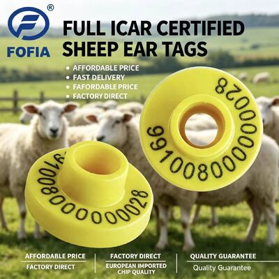 Professional Electronic Ear Tags for Livestock Identification and Tracking Offering Durable Solutions for Sheep and Goat Management