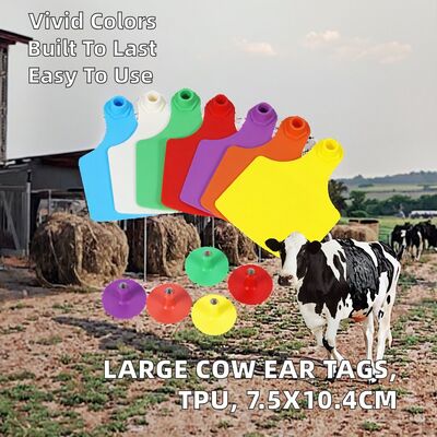 Plastic Cow Ear Tags TPU Material Bovine Cattle Ear Mark Tags with Number Animal Tracking Chip