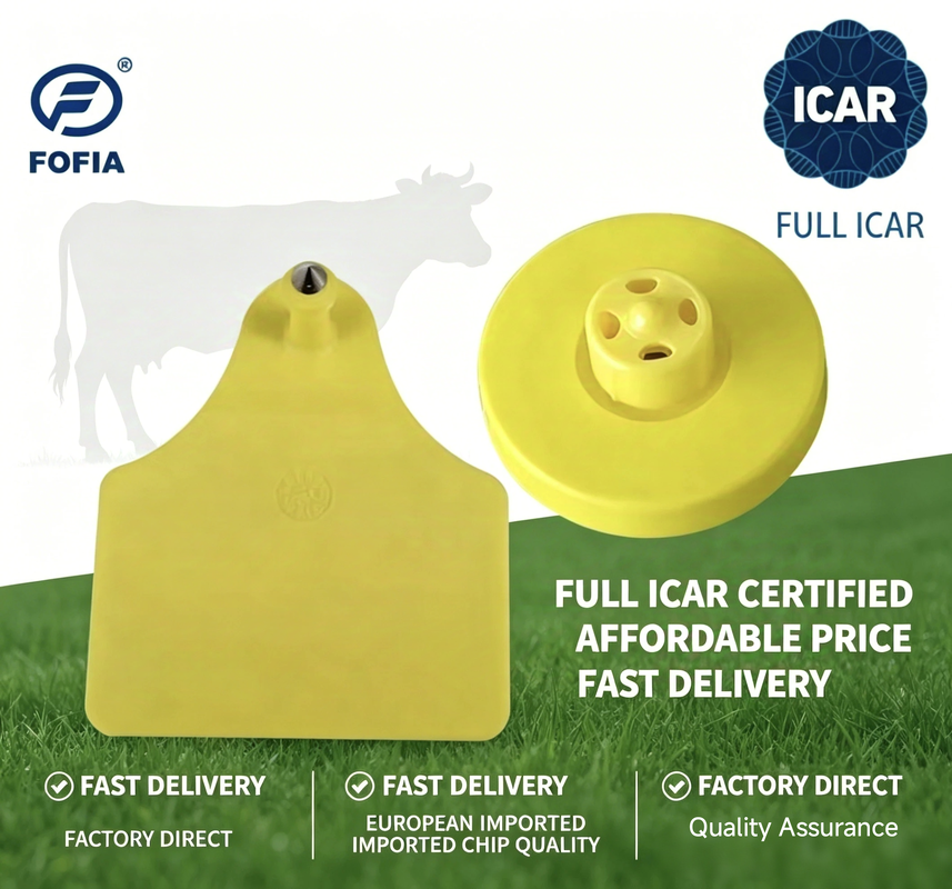 Electronic Ear Tags ICAR certified durable TPU design for livestock tracking and comprehensive cattle management systems