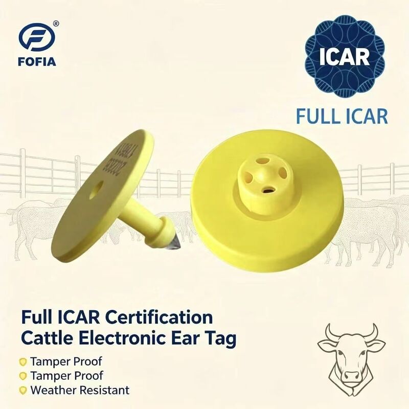 जलरोधक फोफिया पूर्ण ICAR प्रमाणित ET908 पीला RFID TPU गाय कान टैग उच्च गुणवत्ता 1.5 साल की वारंटी पशुपालन